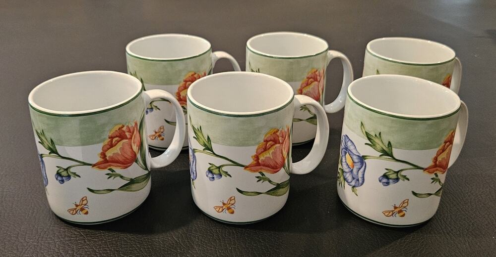 Coventry Secret Garden Coffee/Tea Mugs Porcelain Set Of 6